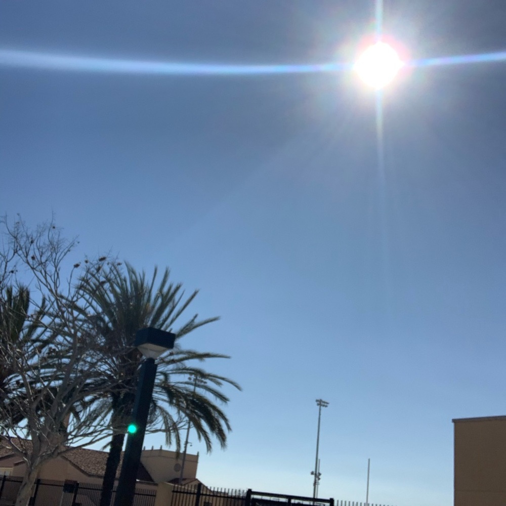 Meet your Posher, Melanie